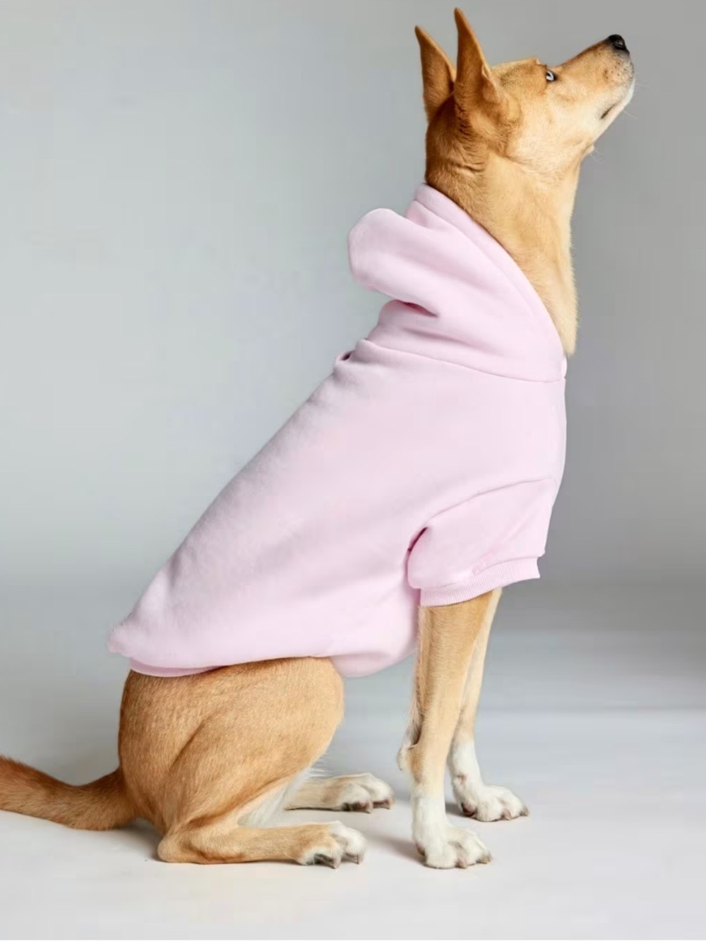 Comfrt Minimalist Paw Hoodie Size 2XL in Powder Pink